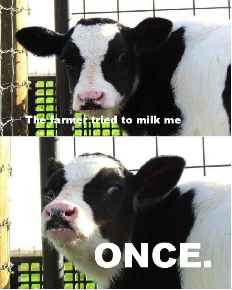 The Farmer tried to milk me… Once